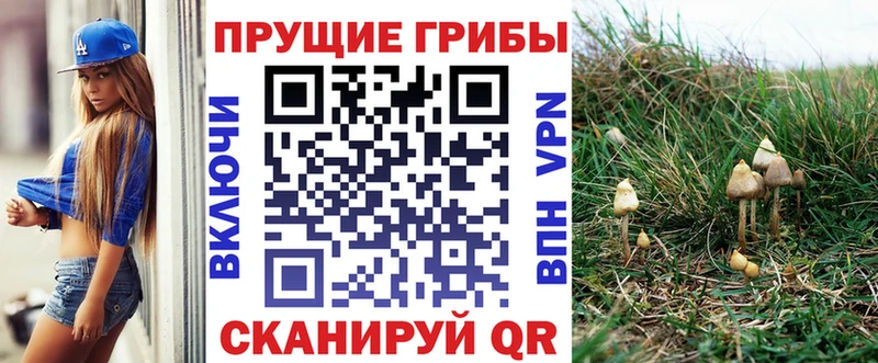 Купить Нязепетровск Галлюциногенные грибы ЛСД